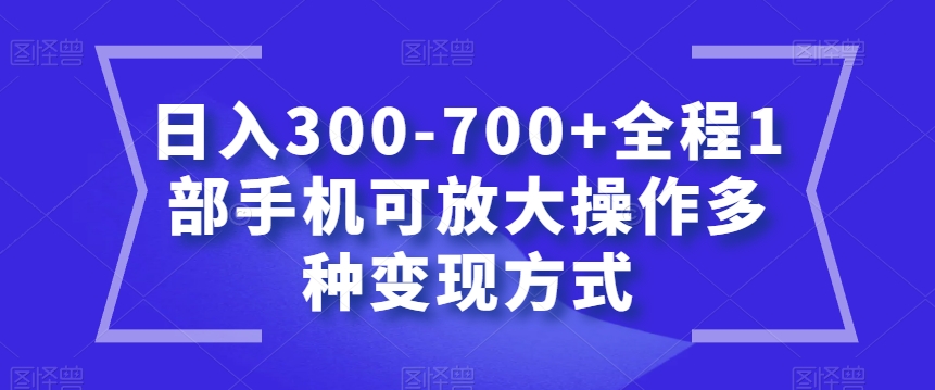 日入300-700+全程1部手机可放大操作多种变现方式【揭秘】_微雨项目网