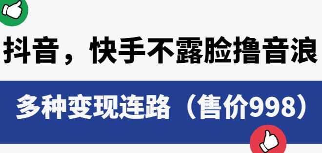 抖音快手不露脸撸音浪项目，多种变现连路（售价998）_微雨项目网