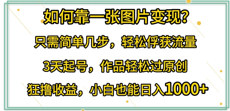 如何靠一张图片变现?只需简单几步，轻松俘获流量，3天起号，作品轻松过原创【揭秘】_微雨项目网