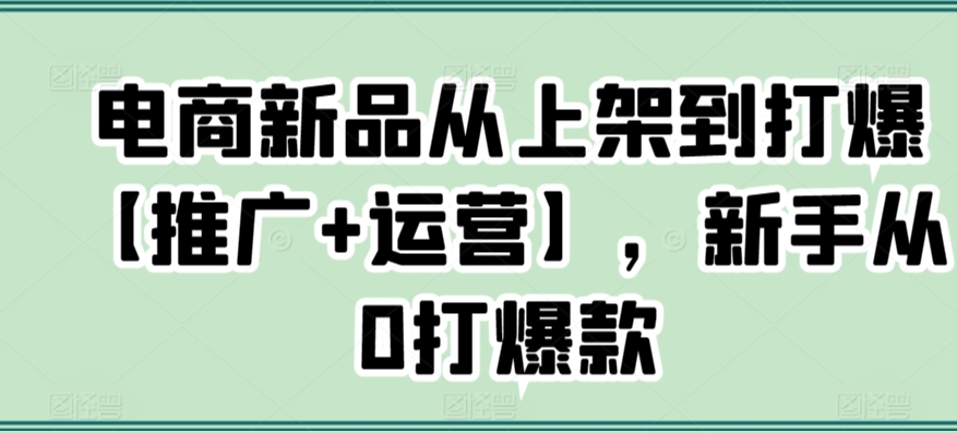 电商新品从上架到打爆【推广+运营】，新手从0打爆款_微雨项目网