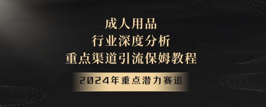 2024年重点潜力赛道，成人用品行业深度分析，重点渠道引流保姆教程【揭秘】_微雨项目网