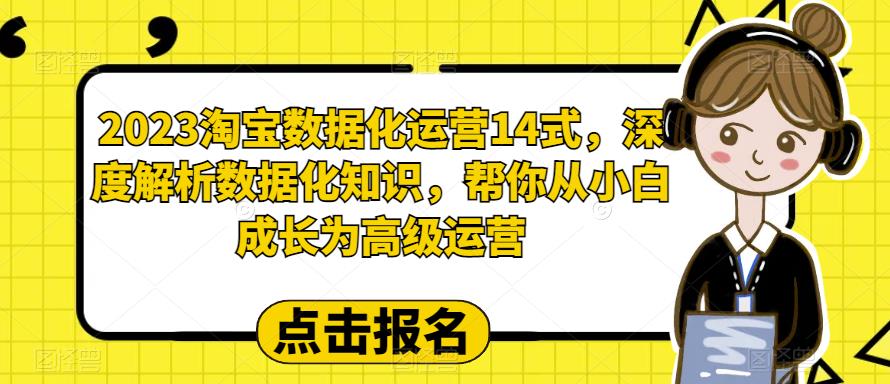 2023淘宝数据化运营14式，深度解析数据化知识，帮你从小白成长为高级运营_微雨项目网