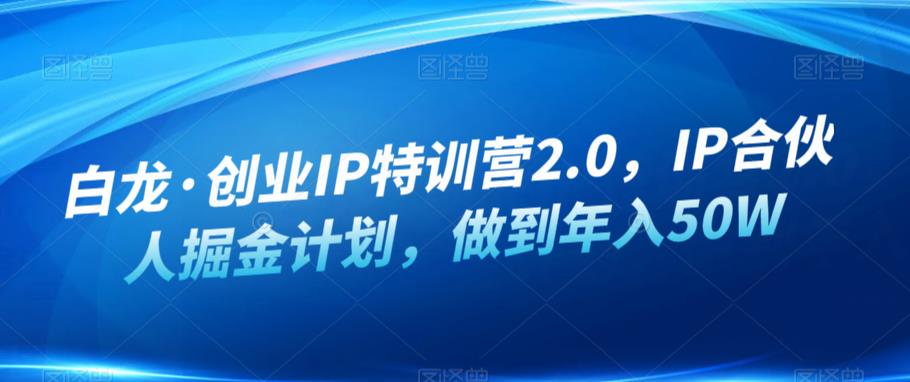 白龙·创业IP特训营2.0，IP合伙人掘金计划，做到年入50W_微雨项目网