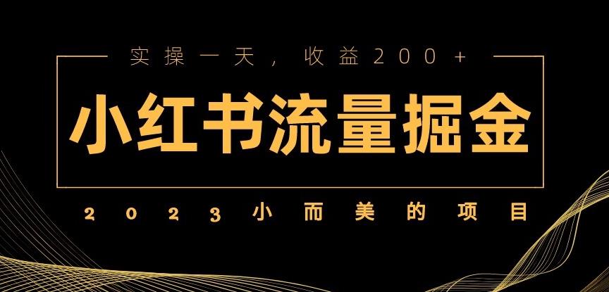 2023小而美的项目，小红书流量掘金，实操一天，收益200+【揭秘】_微雨项目网