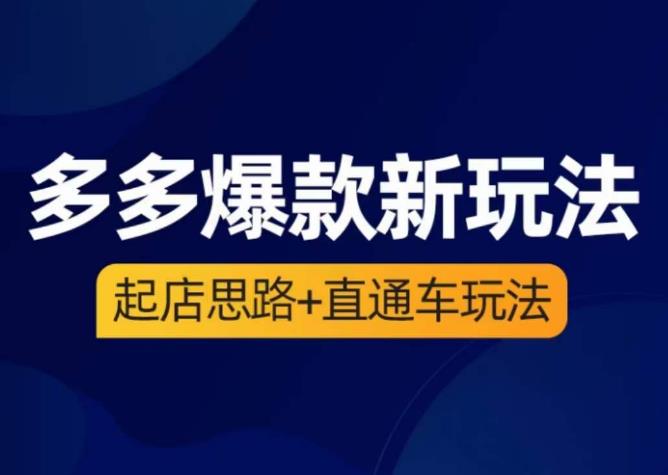 海神·多多爆款新玩法，​起店思路+直通车玩法（3节精华课）_微雨项目网