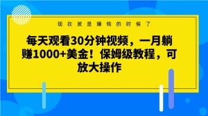 每天观看30分钟视频，一月躺赚1000+美金！保姆级教程，可放大操作【揭秘】_微雨项目网