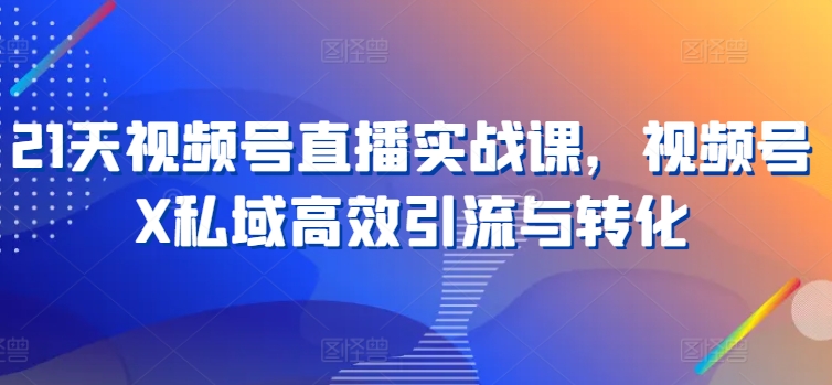 21天视频号直播实战课，视频号X私域高效引流与转化_微雨项目网