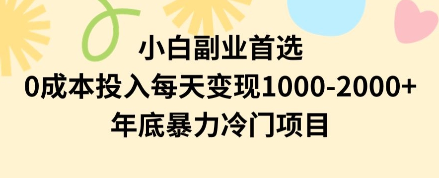 小白副业首选，0成本投入，每天变现1000-2000年底暴力冷门项目【揭秘】_微雨项目网