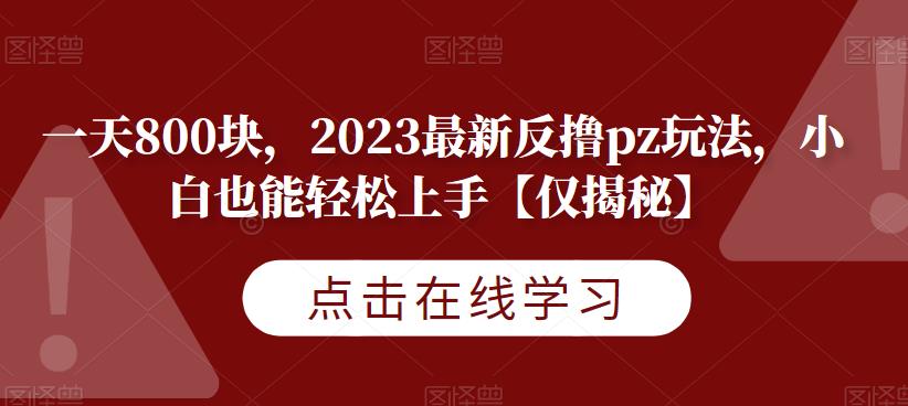 一天800块，2023最新反撸pz玩法，小白也能轻松上手【仅揭秘】_微雨项目网