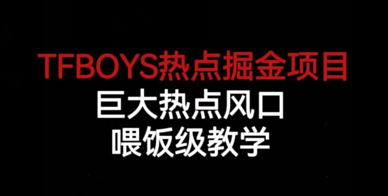 TFBOYS热点掘金项目，巨大热点风口，喂饭级教学_微雨项目网