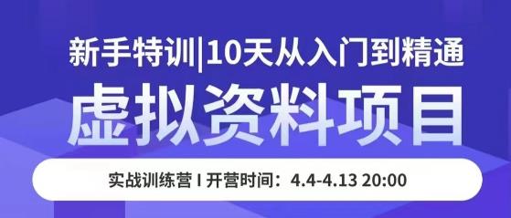 虚拟资料项目新手特训，10天从入门到精通，保姆级实操教学_微雨项目网