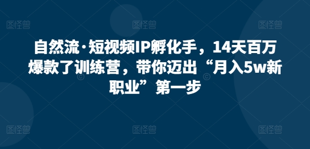 自然流·短视频IP孵化手，14天百万爆款了训练营，带你迈出“月入5w新职业”第一步_微雨项目网