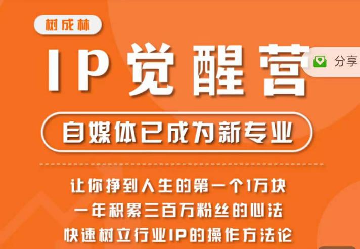 树成林·IP觉醒营，快速树立行业IP的操作方法论，让你赚到人生的第一个1万块（更新）_微雨项目网