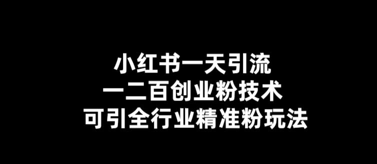 小红书一天引流一二百创业粉技术，可引全行业精准粉玩法【仅揭秘】_微雨项目网