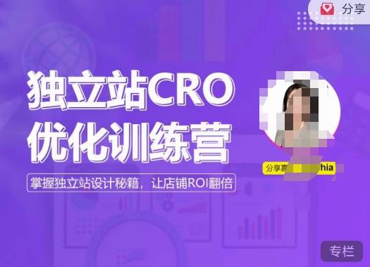 独立站CRO优化训练营，掌握独立站设计秘籍，打造高转化的独立站，让店铺ROI翻倍_微雨项目网