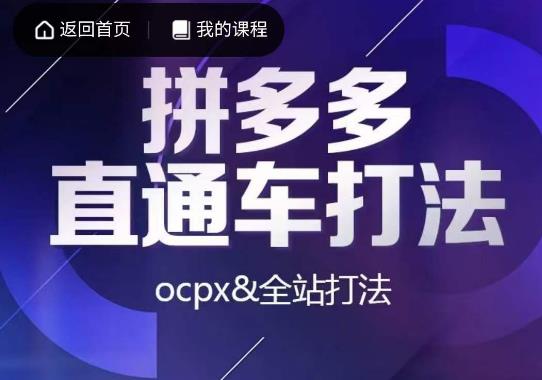 互力·拼多多直通车打法，ocpx&全站打法_微雨项目网