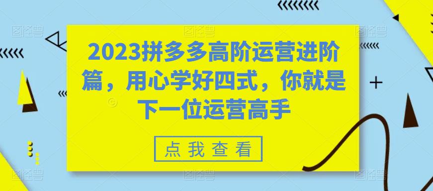 2023拼多多高阶运营进阶篇，用心学好四式，你就是下一位运营高手_微雨项目网