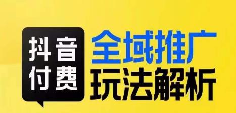 抖音付费全域推广玩法解析，抓住平台红利，小付费撬动大流量_微雨项目网