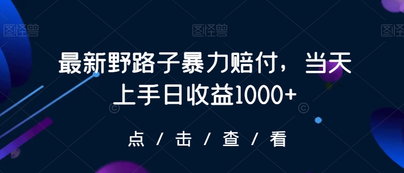 最新野路子暴力赔付，当天上手日收益1000+【仅揭秘】_微雨项目网