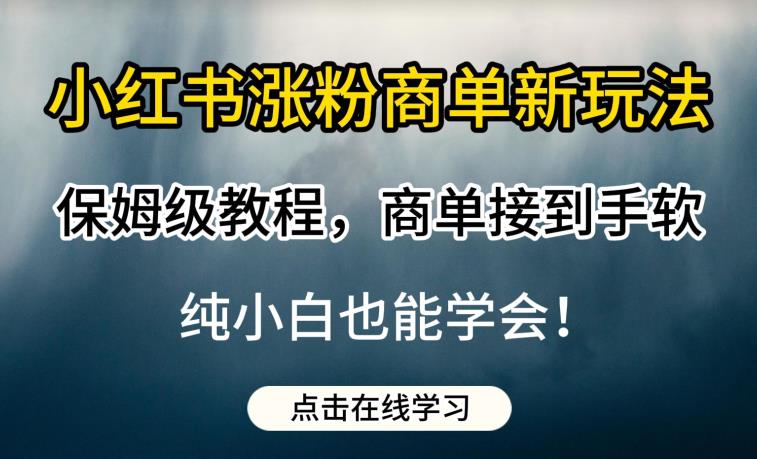 小红书涨粉商单新玩法，保姆级教程，商单接到手软，纯小白也能学会【揭秘】_微雨项目网