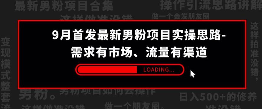 9月首发最新男粉项目实操思路-需求有市场，流量有渠道【揭秘】_微雨项目网