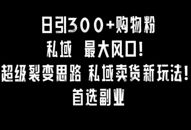 日引300+购物粉，超级裂变思路，私域卖货新玩法，小红书首选副业【揭秘】_微雨项目网