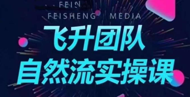 飞升团队课程自然流实操课，抖音半无人起号主播间搭建教学_微雨项目网