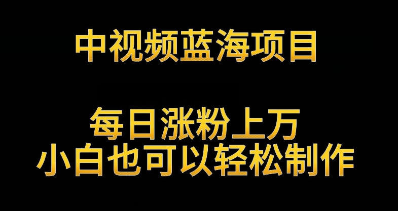 中视频蓝海项目，解读英雄人物生平，每日涨粉上万，小白也可以轻松制作，月入过万不是梦【揭秘】_微雨项目网