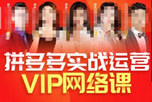 推易拼多多VIP全套直播课程，拼多多店铺实操玩法+实战玩法选款内功+直通车高阶等_微雨项目网