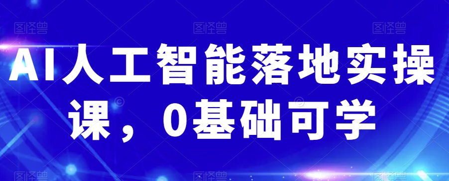 AI人工智能落地实操课，0基础可学_微雨项目网