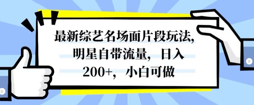 最新综艺名场面片段玩法，明星自带流量，日入200+，小白可做【揭秘】_微雨项目网