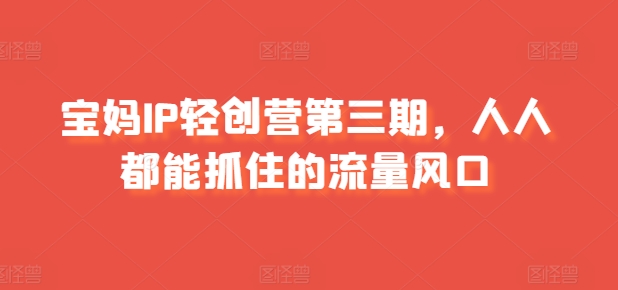 宝妈IP轻创营第三期，人人都能抓住的流量风口_微雨项目网