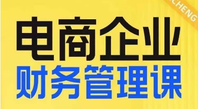 电商企业财务管理线上课，为电商企业规划财税_微雨项目网