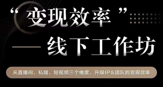 变现效率线下工作坊，从‮播直‬间、私域、‮视短‬频‮个三‬维度，升级IP和团队变现效率_微雨项目网