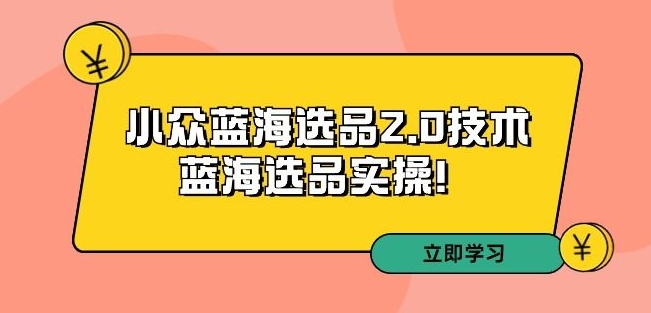 拼多多培训第33期：小众蓝海选品2.0技术-蓝海选品实操！_微雨项目网