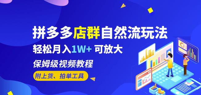 拼多多店群自然流玩法，轻松月入1W+保姆级视频教程（附上货、拍单工具）_微雨项目网