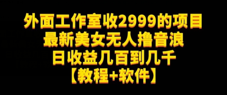 外面工作室收2999的项目最新美女无人撸音浪日收益几百到几千【教程+软件】（仅揭秘）_微雨项目网