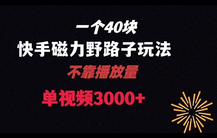 一个40块，快手联合美团磁力新玩法，无视机制野路子玩法，单视频收益4位数【揭秘】_微雨项目网