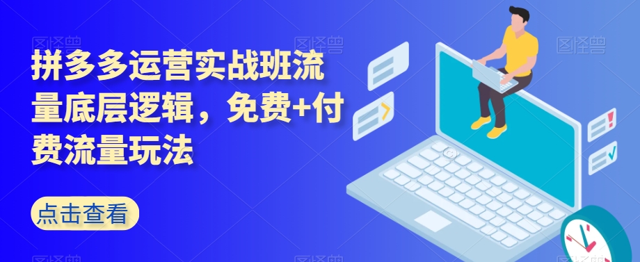 拼多多运营实战班流量底层逻辑，免费+付费流量玩法_微雨项目网