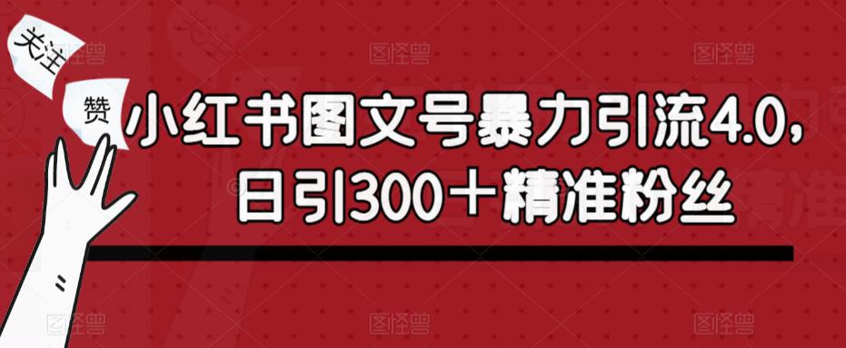 小红书图文号暴力引流4.0，日引300＋精准粉丝【揭秘】_微雨项目网