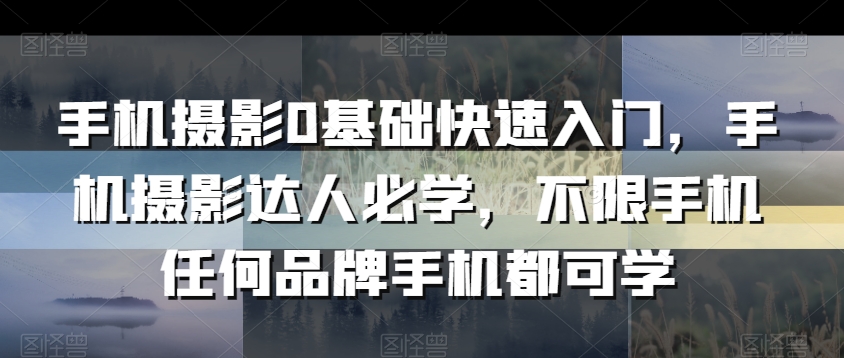 手机摄影0基础快速入门，手机摄影达人必学，不限手机任何品牌手机都可学_微雨项目网