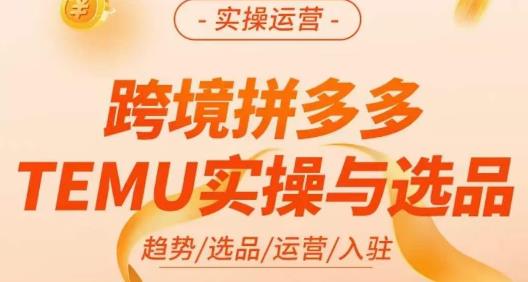 伍跃·跨境拼多多TEMU实操与选品，​趋势/选品/运营/入住（27节完整）_微雨项目网