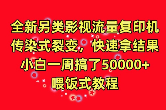 全新另类影视流量复印机，传染式裂变，快速拿结果，小白一周搞了50000+，喂饭式教程【揭秘】_微雨项目网