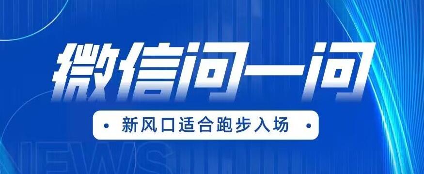 全网首发微信问一问新风口变现项目（价值1999元）【揭秘】_微雨项目网