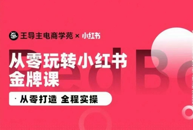 王导主·小红书电商运营实操课，​从零打造  全程实操_微雨项目网