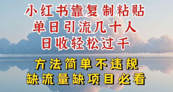 小红书靠复制粘贴单日引流几十人目收轻松过千，方法简单不违规【揭秘】_微雨项目网