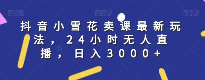 抖音小雪花卖课最新玩法，24小时无人直播，日入3000+【揭秘】_微雨项目网