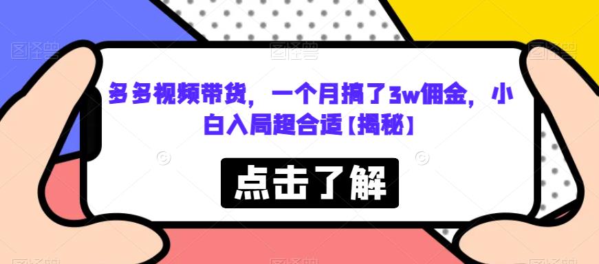 多多视频带货，一个月搞了3w佣金，小白入局超合适【揭秘】_微雨项目网