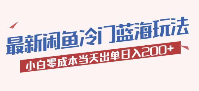 2023最新闲鱼冷门蓝海玩法，小白零成本当天出单日入200+【揭秘】_微雨项目网