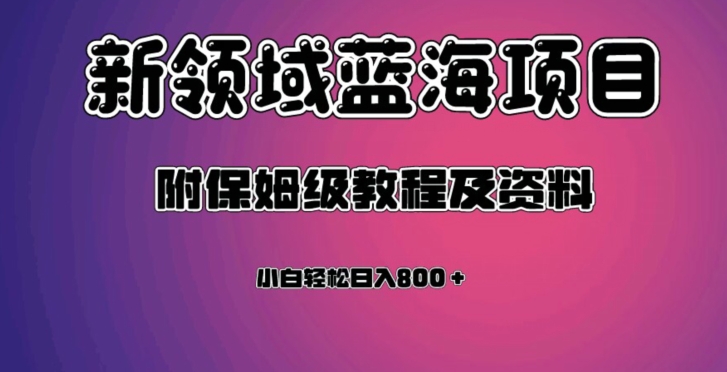 虚拟资源蓝海领域新项目，轻松日入800＋，附保姆级教程及资料_微雨项目网